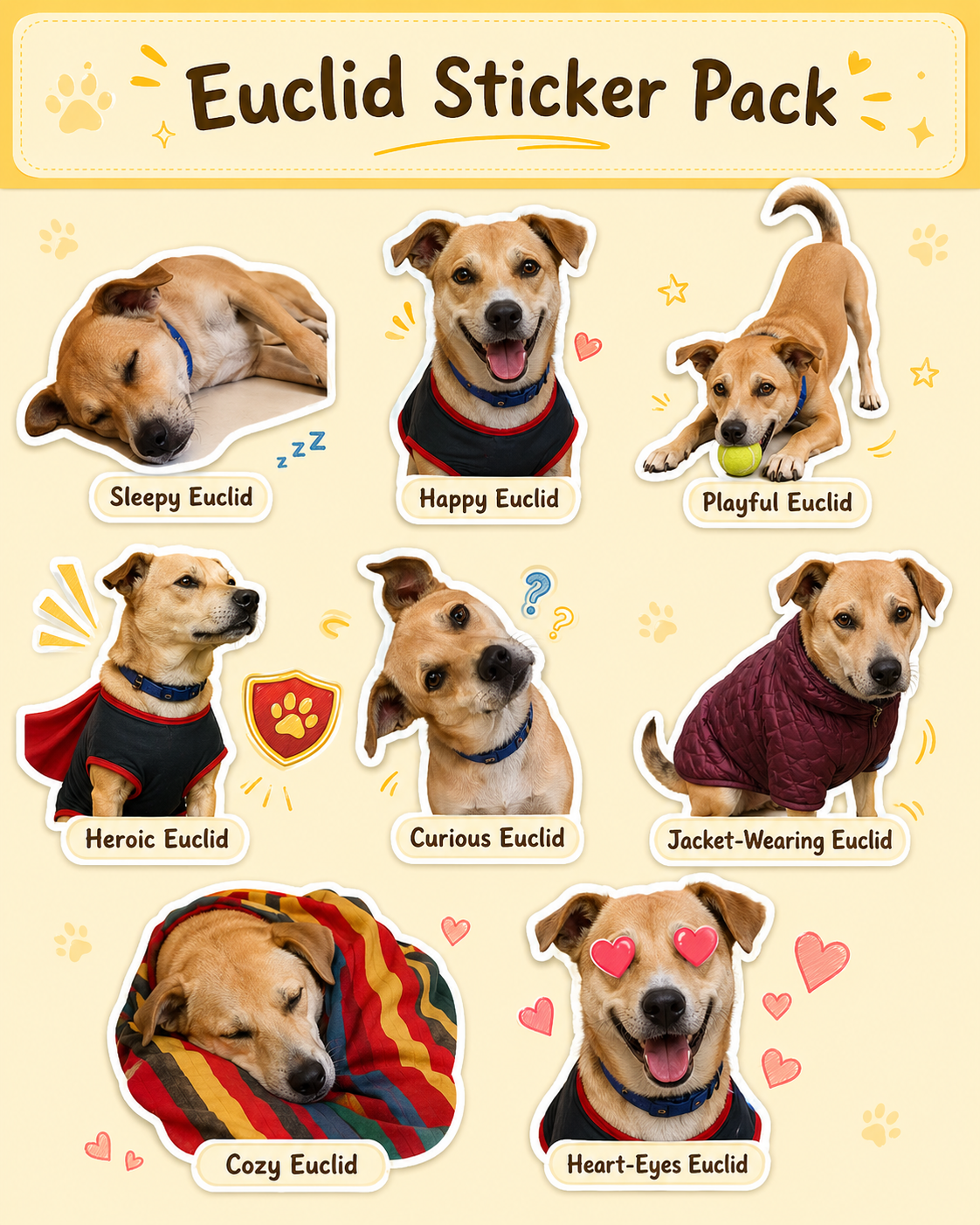 Launch example of Euclid as a playful sticker pack